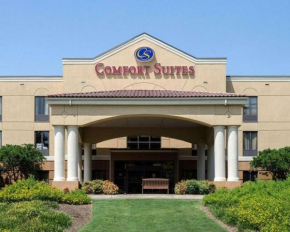 Comfort Suites